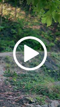 BIB:  <button type="button" onclick="openModal(28090937)" class="btn btn-primary btn-sm float-right" data-toggle="modal" data-target=".modal-high-quality">
                <i class="fa fa-download"></i> Download
                </button>